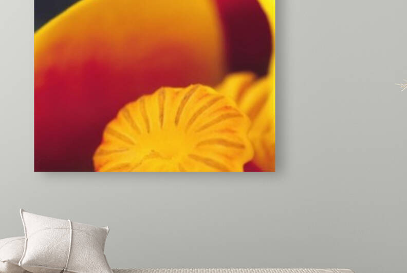 yellow pond lily by David J Tilley