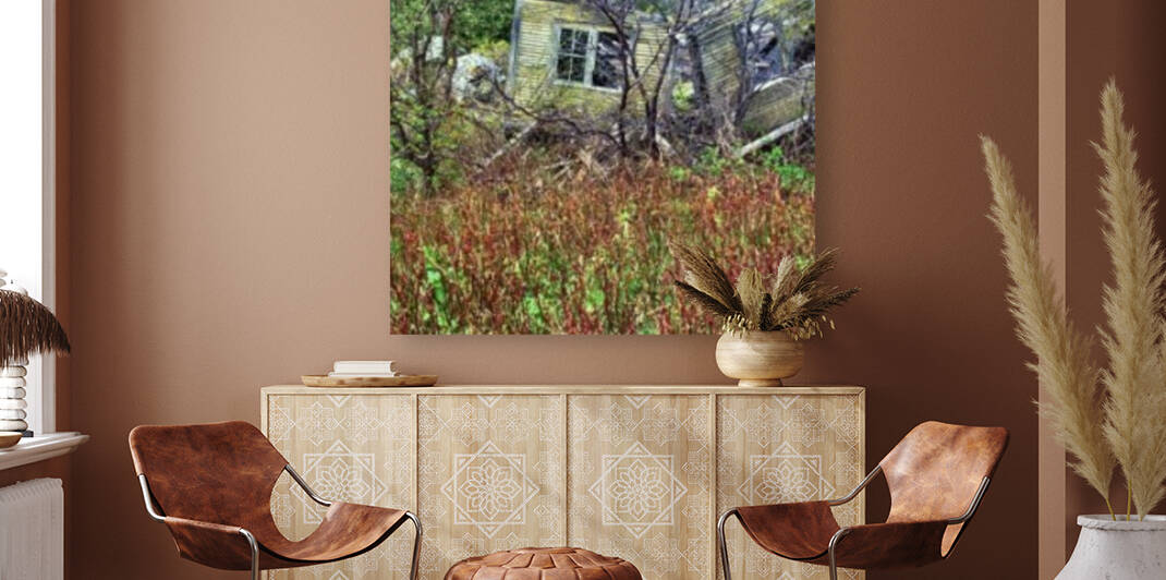 treed house by David J Tilley