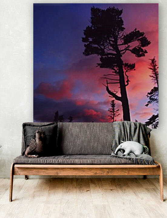 white pine by David J Tilley