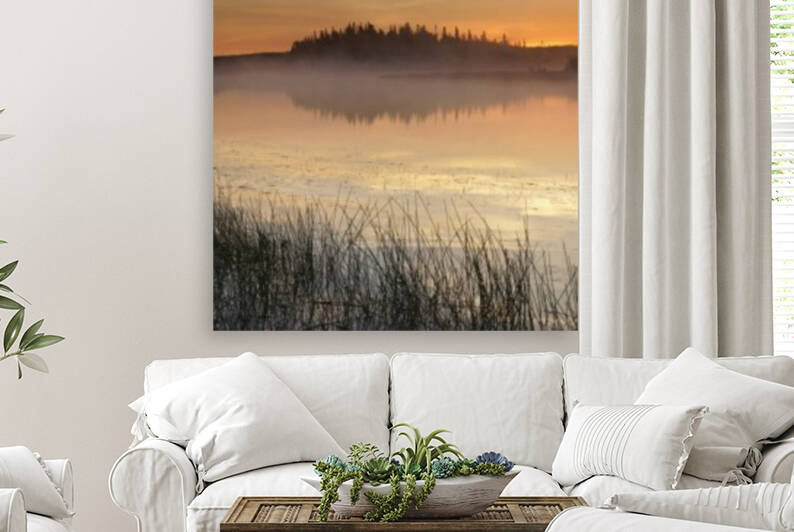 morning glow Reproduction
