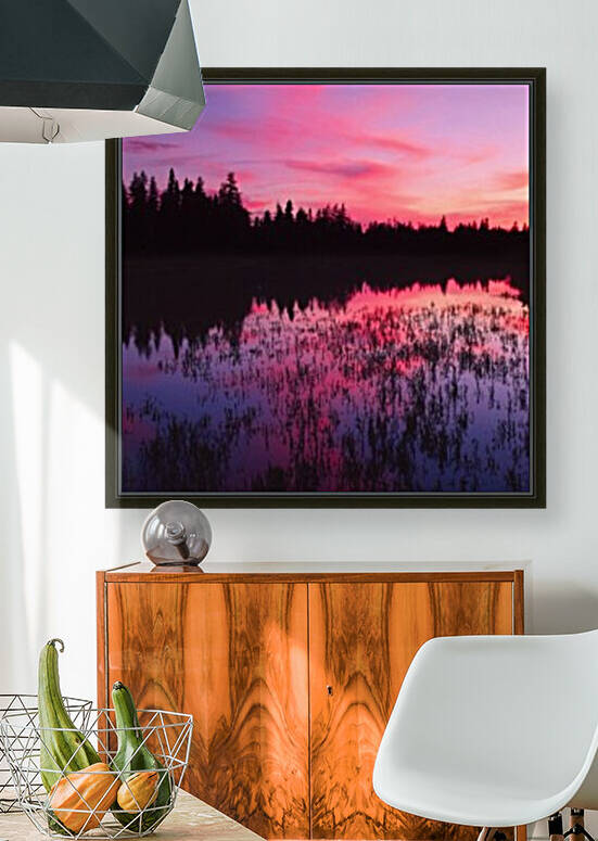 barneys brook by David J Tilley