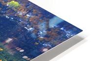 birchy lake HD Metal print