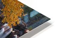 hidden falls HD Metal print