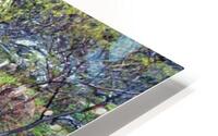 treed house HD Metal print
