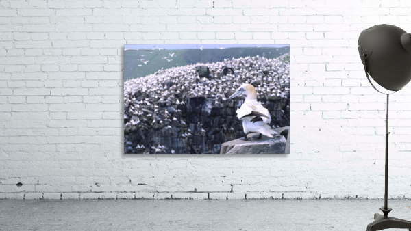 1st among equals Wall Preview