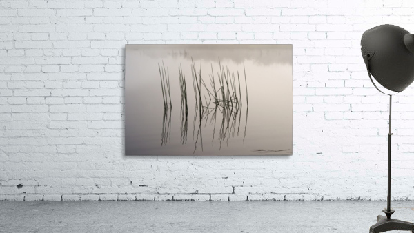 watery canvas Wall Preview