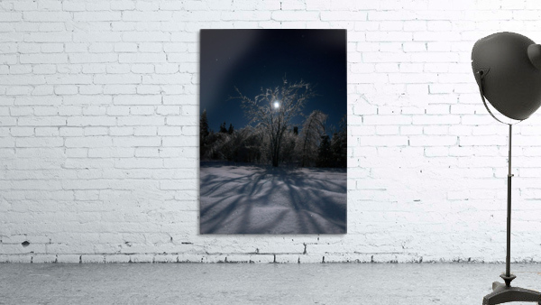 cold moon Wall Preview