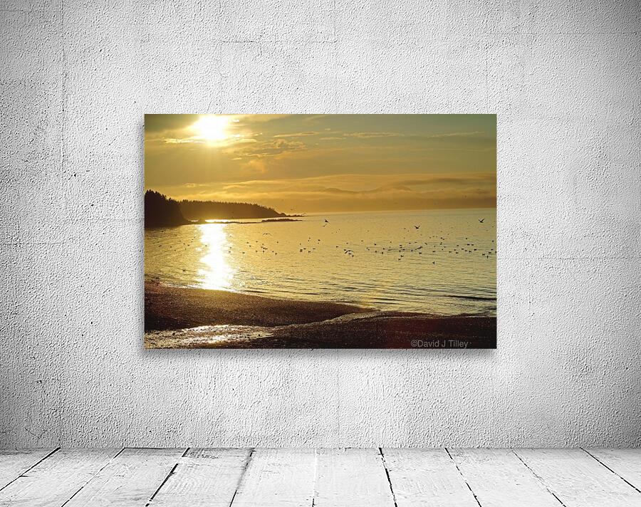 golden beach Wall Preview