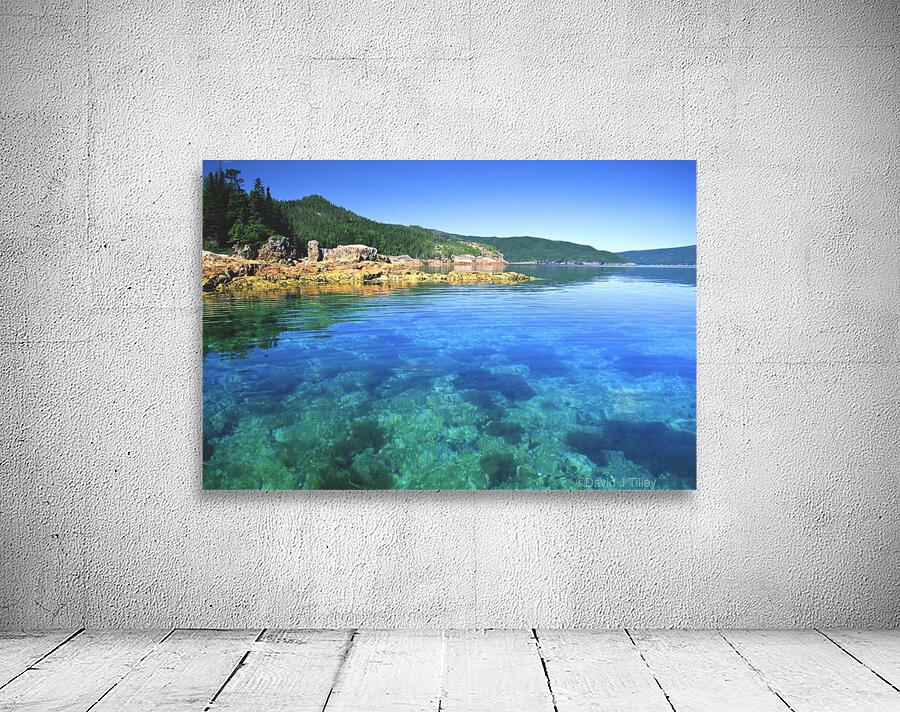 birchy bay Wall Preview