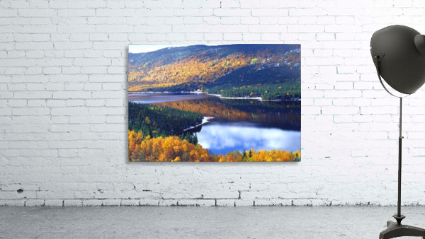 birchy lake Wall Preview