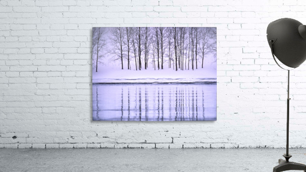 winter aspen Wall Preview