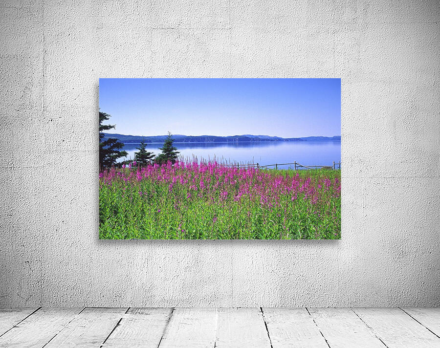 fireweed Wall Preview