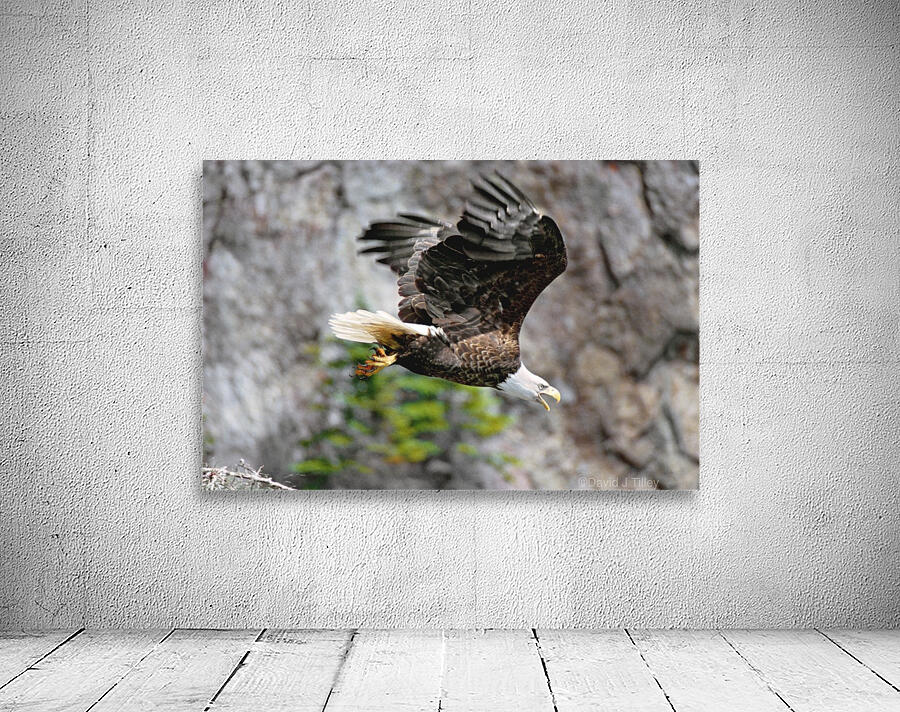 in flight Wall Preview