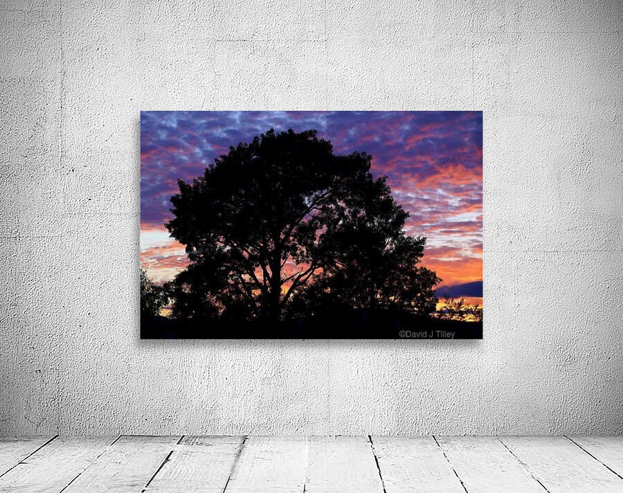 silhouetted aspen Wall Preview