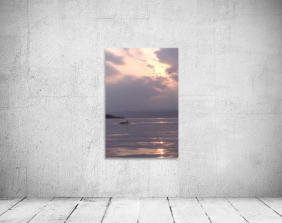 minke Wall Preview