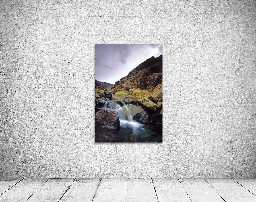 mountain stream Wall Preview