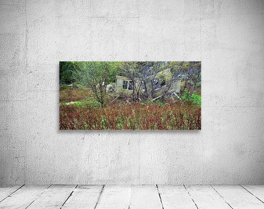 treed house Wall Preview