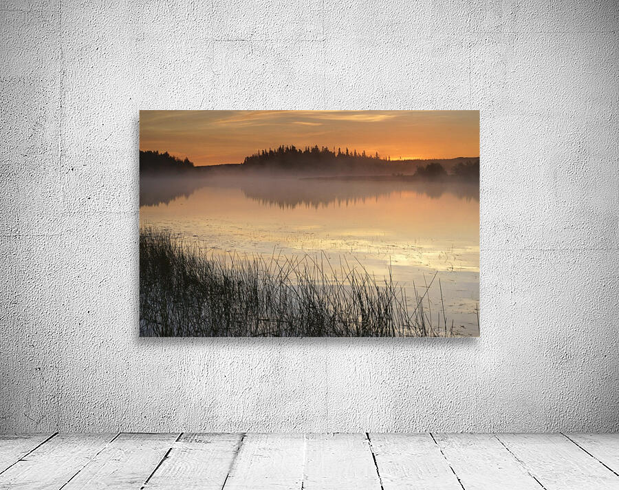 morning glow Wall Preview