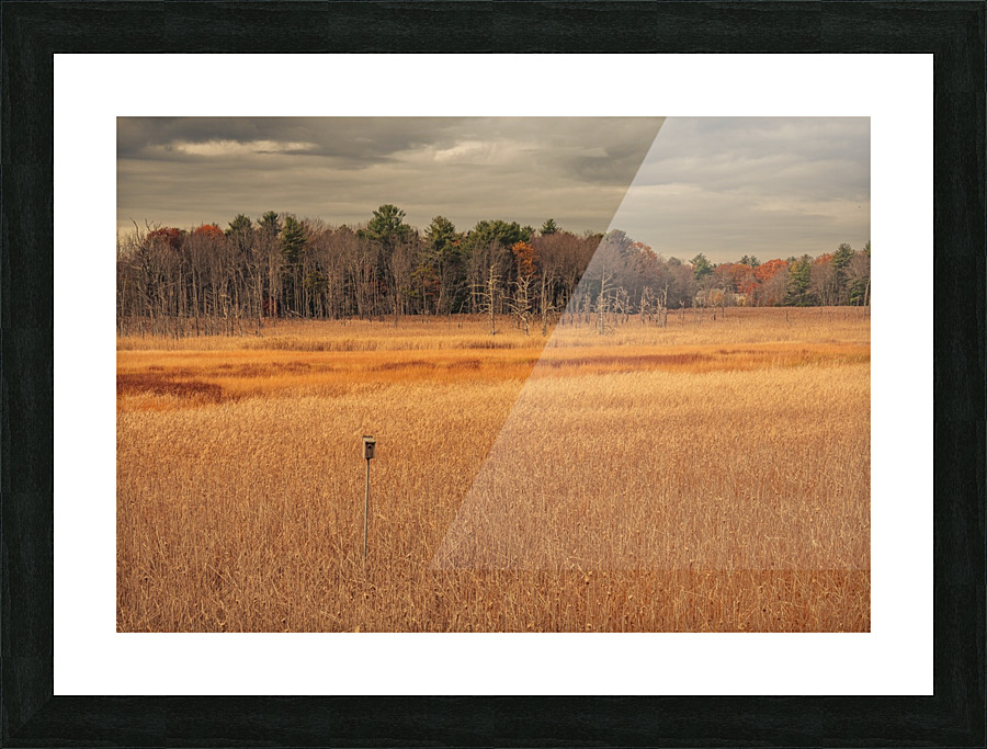 Ice House Trail 9 Picture Frame print