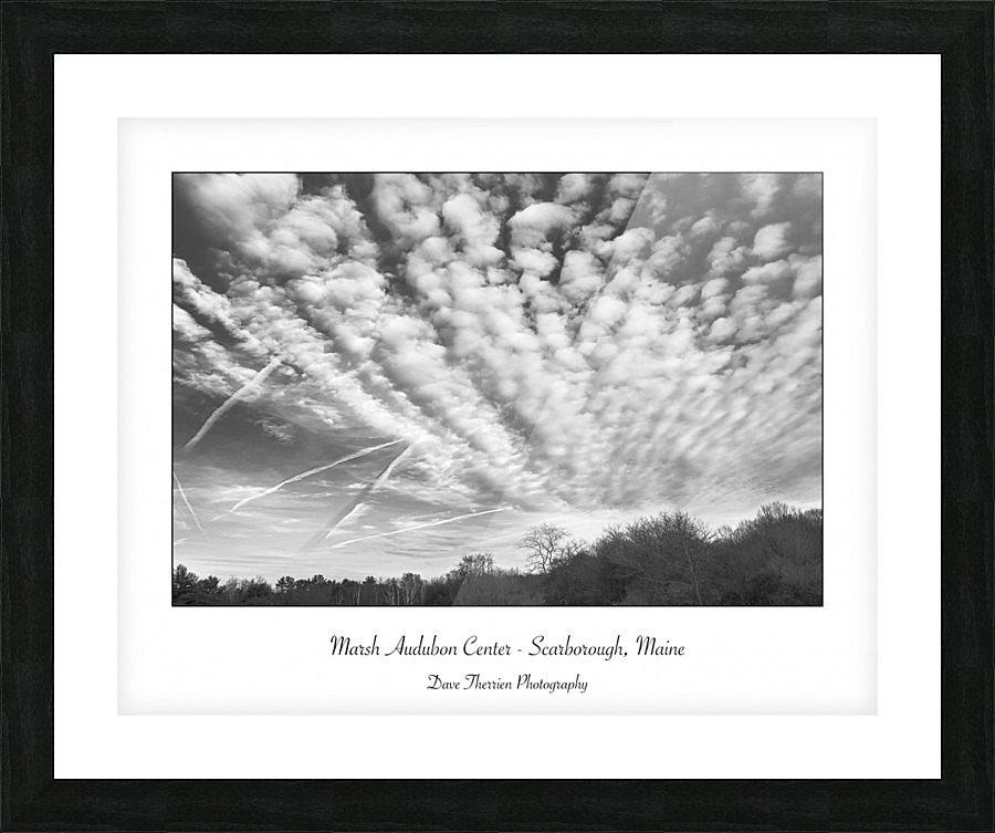 Marsh Audubon Center Picture Frame print