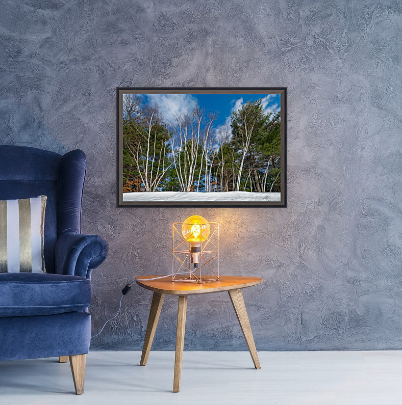 Birches on the Hill Reproduction