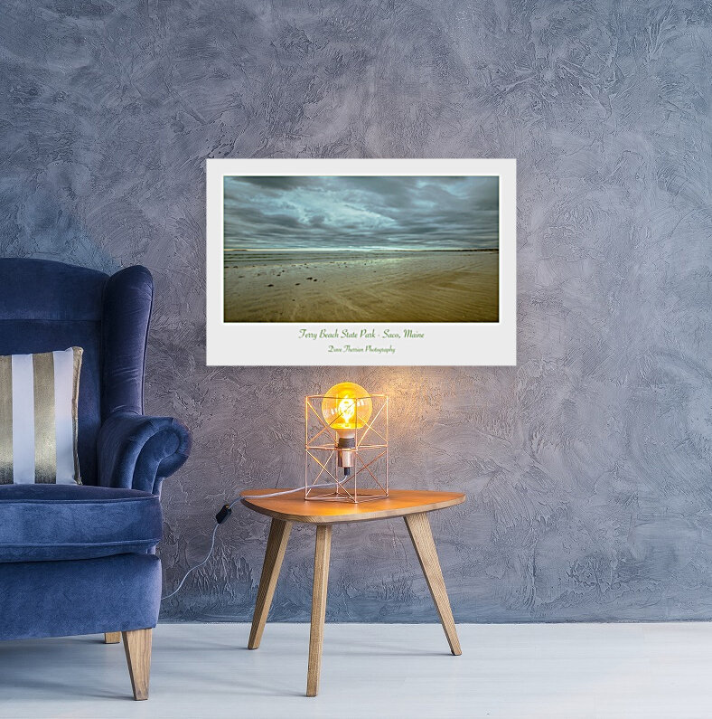 Ferry Beach State Park Reproduction