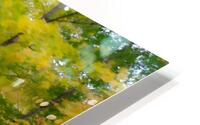 NH Foliage 1 HD Metal print
