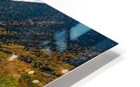 Crawford Notch 5 HD Metal print