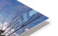 New Hampton View HD Metal print