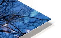 Skyward in Winter HD Metal print