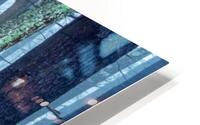 Trunk Show 1 HD Metal print