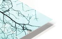 Branchlets HD Metal print