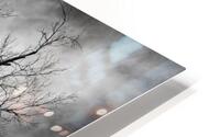 Tree in the Storm HD Metal print
