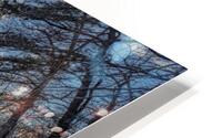 Winter Ending 2 HD Metal print