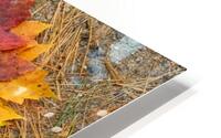 Fall Spectrum HD Metal print