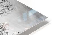 Two Lights Path HD Metal print