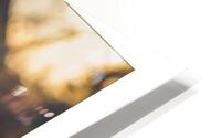 Milk Pod HD Metal print