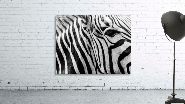 Looking at You Wall Preview