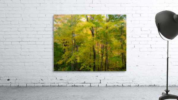 NH Foliage 1 Wall Preview