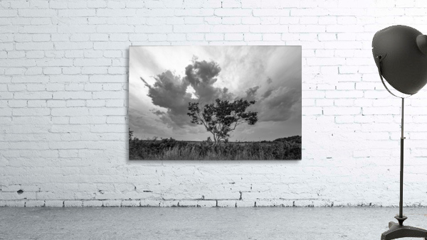 Storm over the Marsh Wall Preview