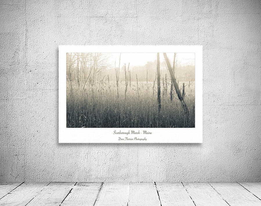 Scarborough Marsh Wall Preview