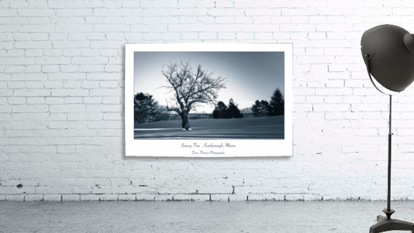 Seavey Tree Wall Preview