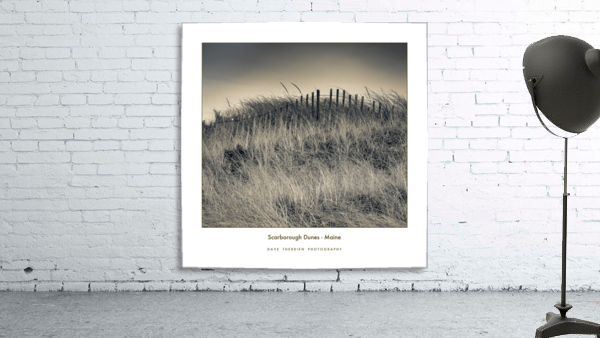 Scarborough Dunes Wall Preview
