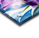  An iris flower3 Acrylic print