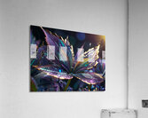 Leaf Acrylic Print
