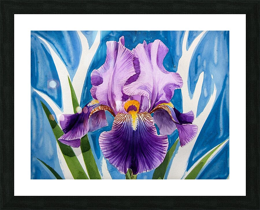  An iris flower3 Picture Frame print