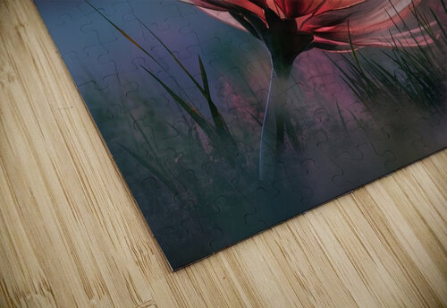 translucent flower with delicate petals2 NorShop puzzle