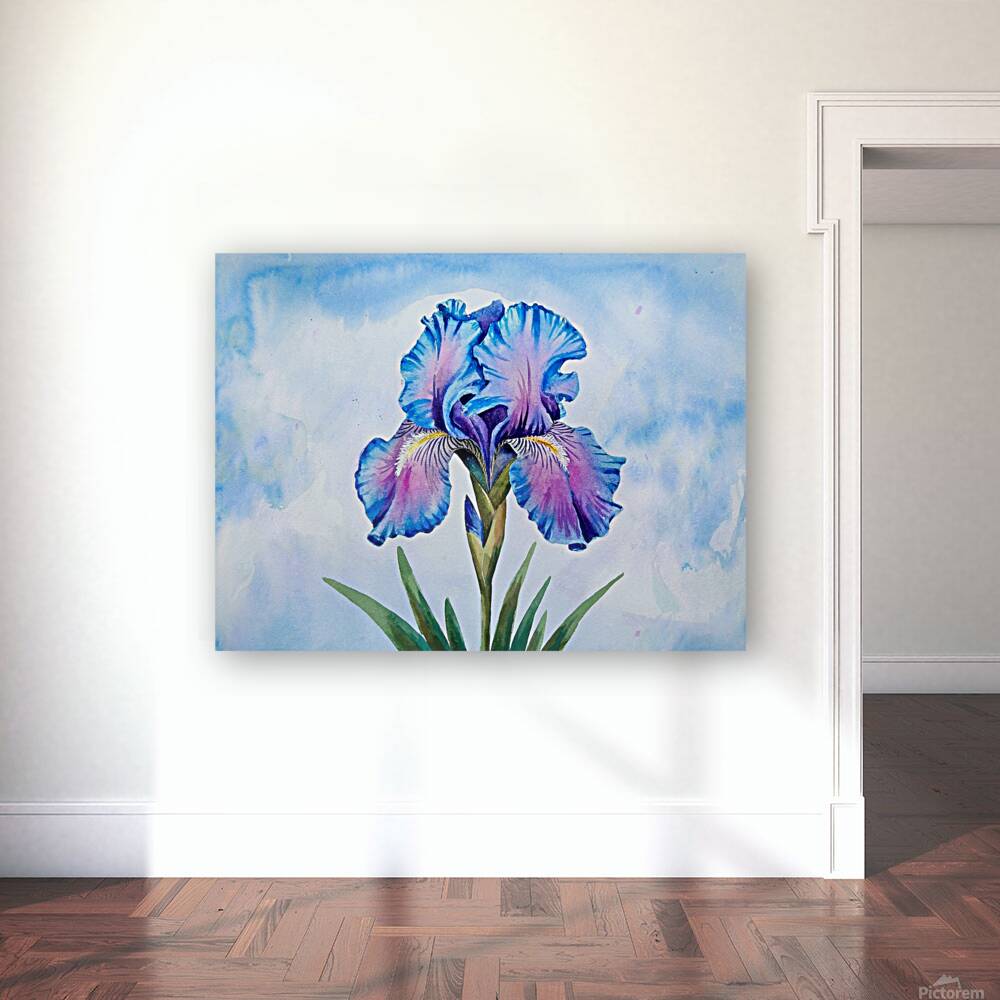  blue iris flower  Reproduction