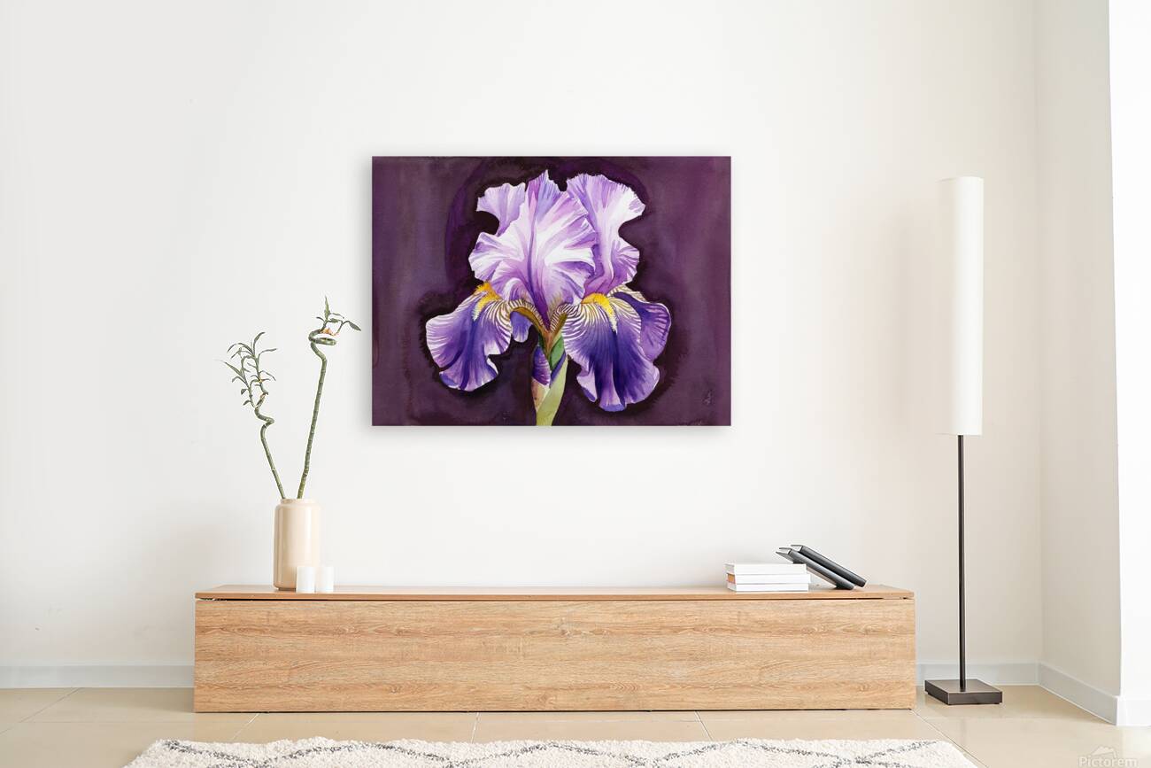 A purple iris  Reproduction