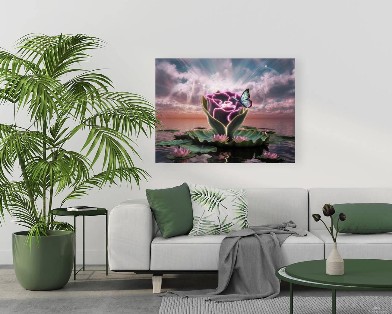 Begonia flower  Reproduction